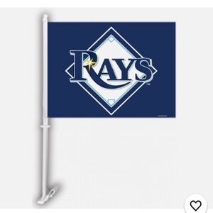 2 Tampa Bay Rays Car Flags
